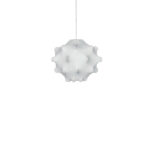 Flos TARAXACUM suspenso