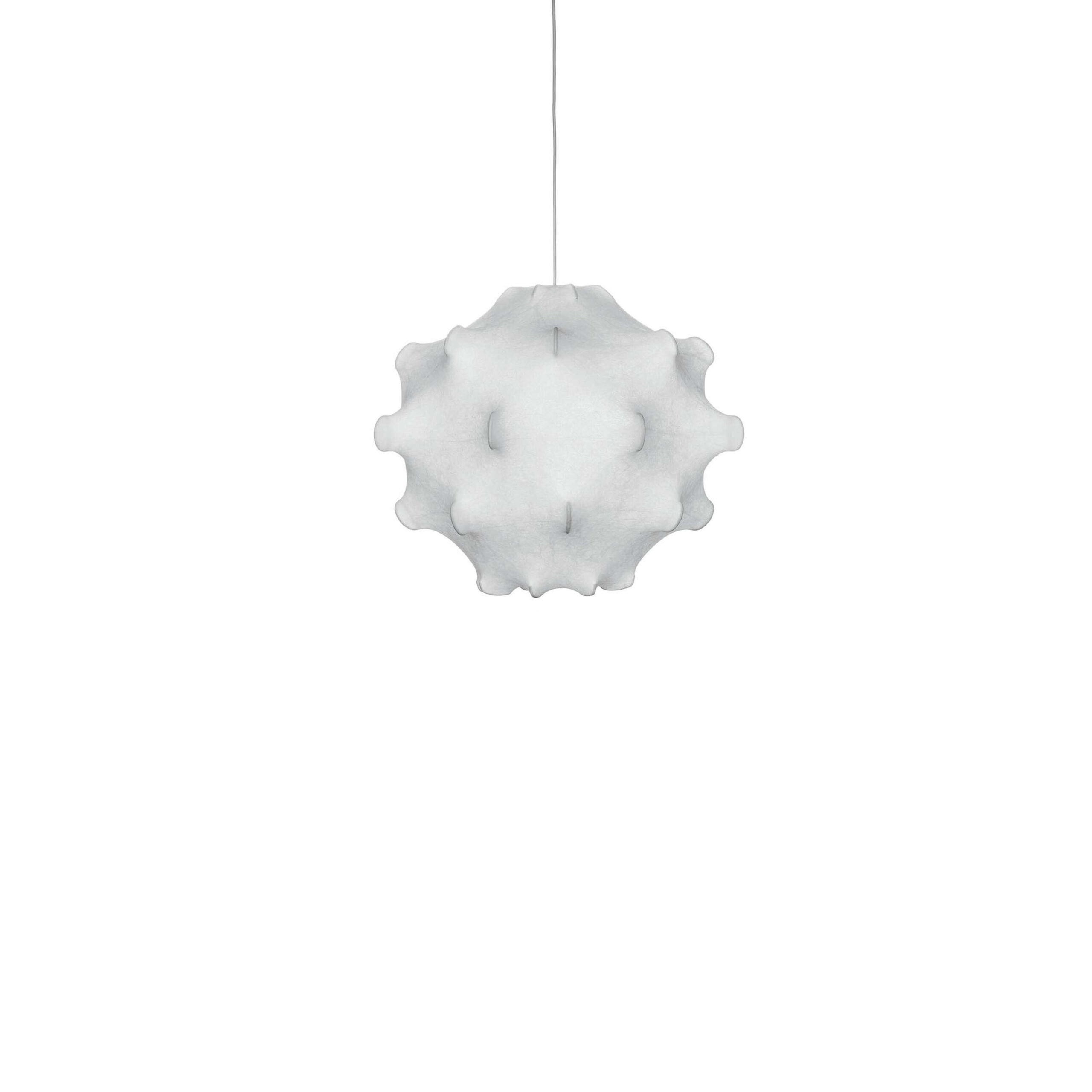 Flos TARAXACUM suspenso