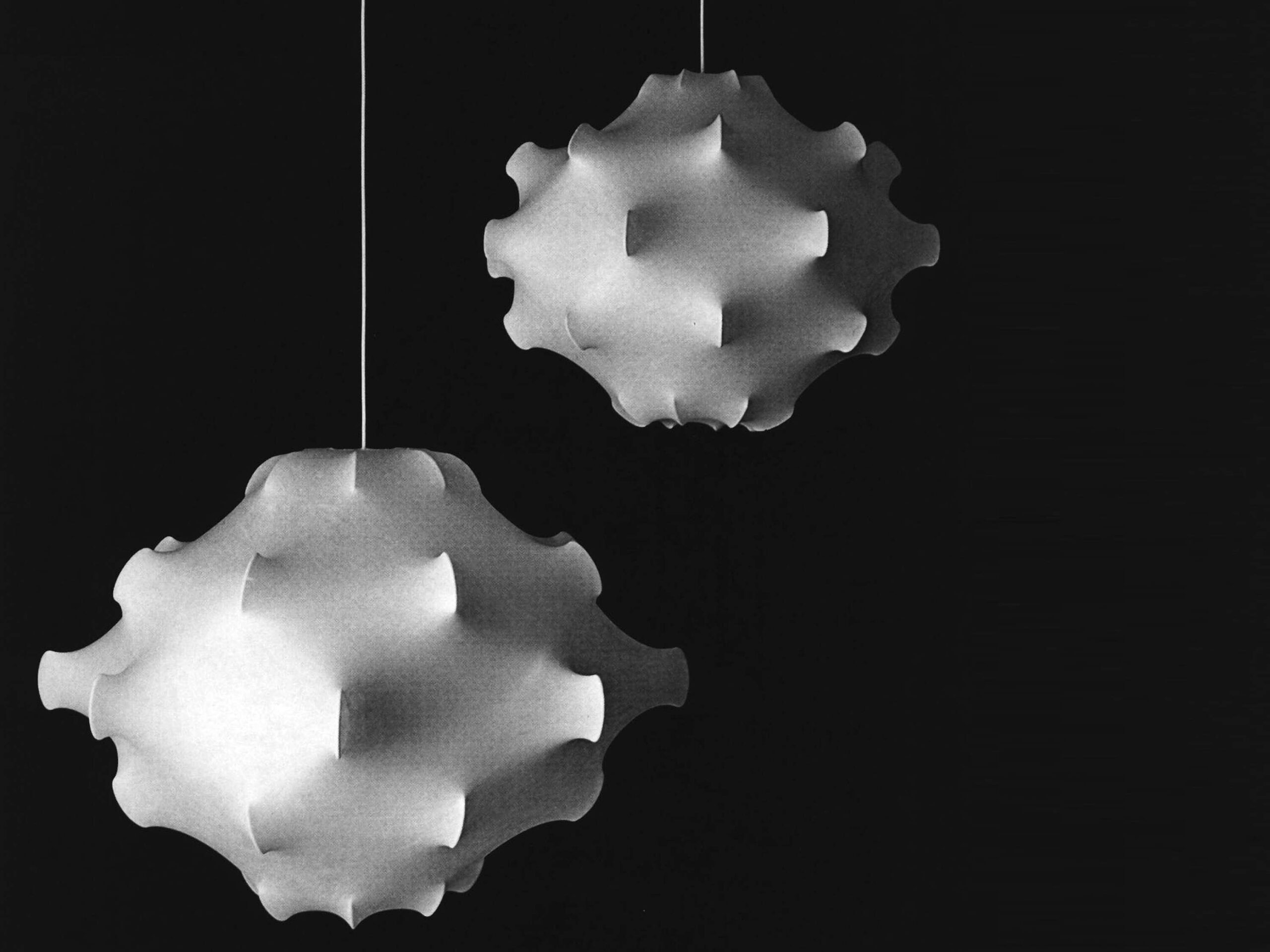 Flos TARAXACUM suspenso - Image 3