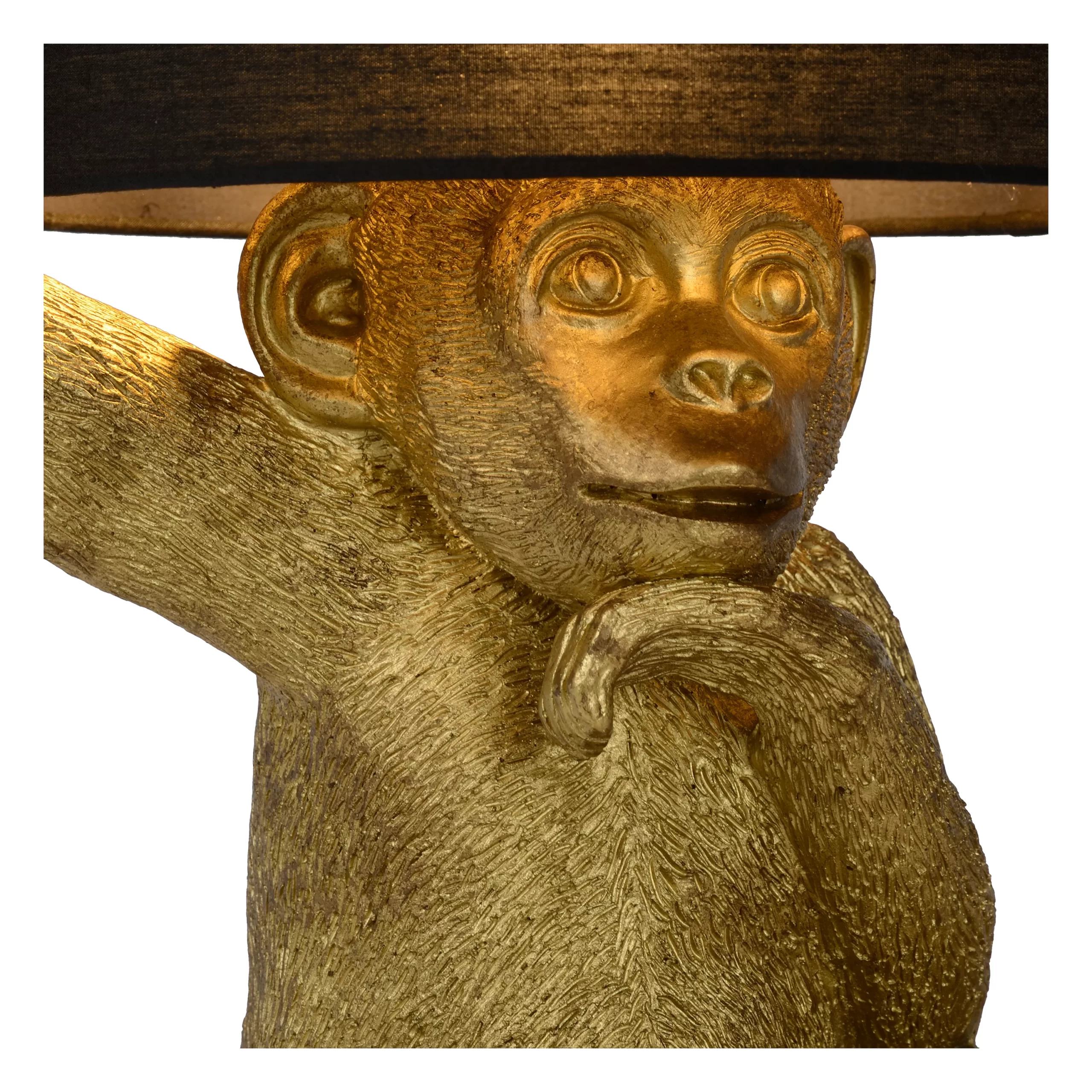 Lucide CHIMP mesa - Image 3