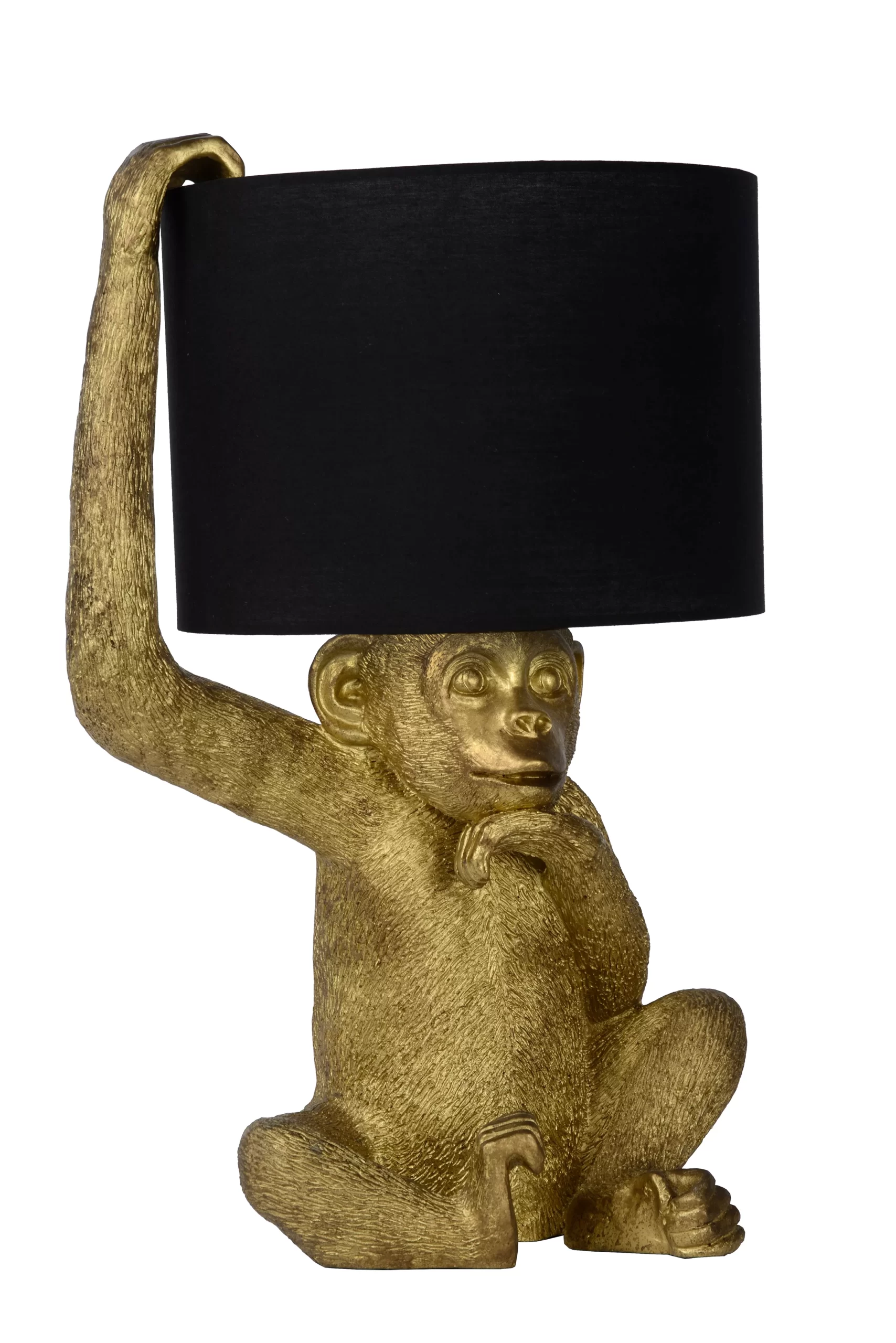 Lucide CHIMP mesa - Image 2