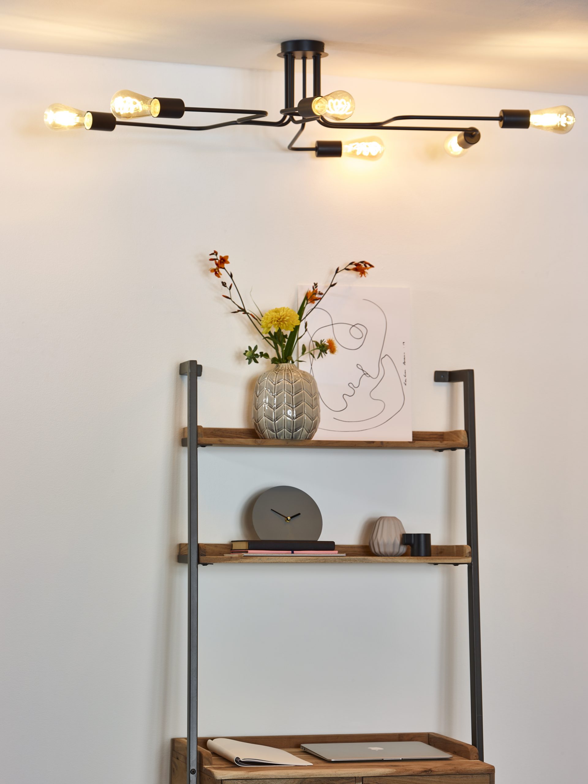 Lucide LESTER 6 - Image 5