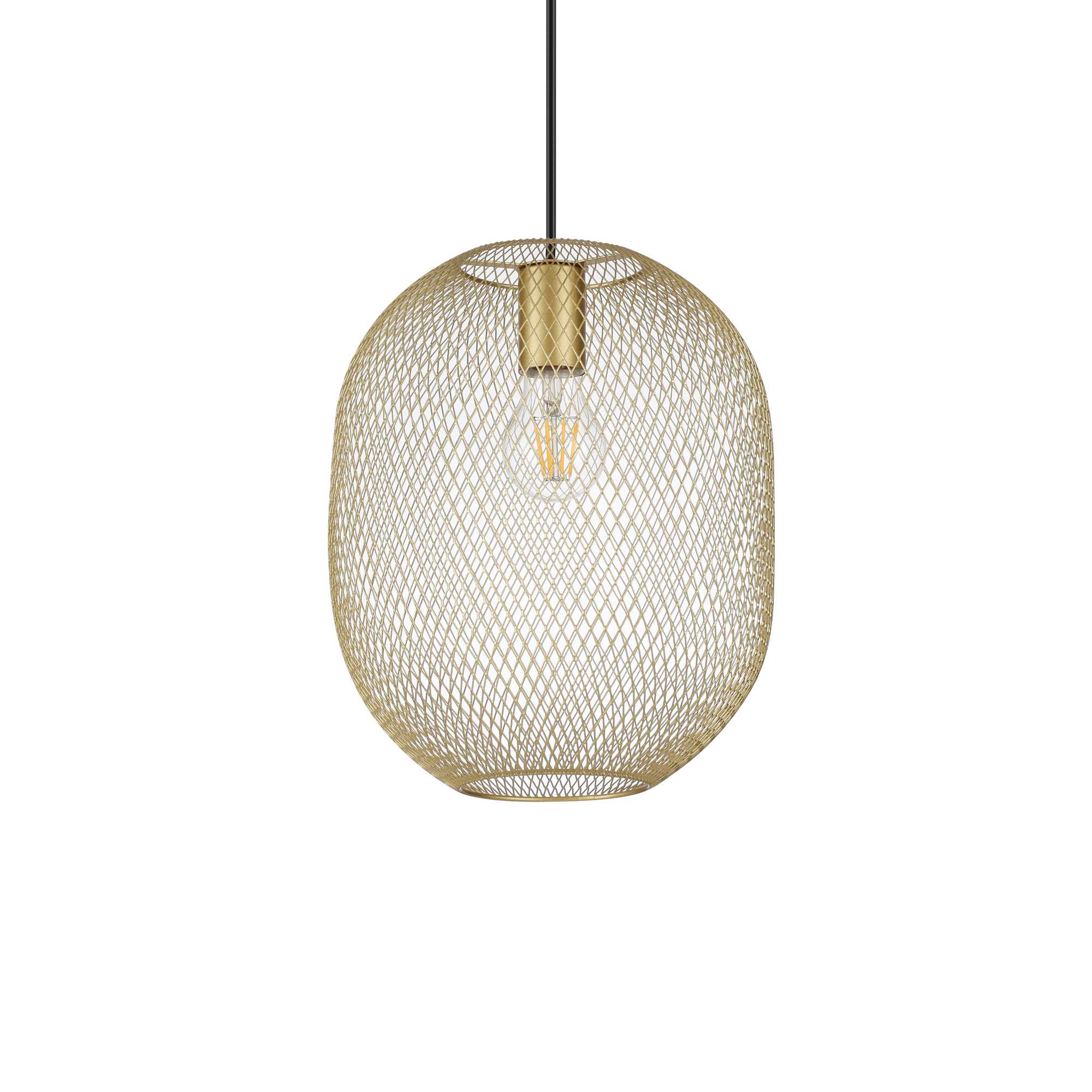 Ideallux NET SP1