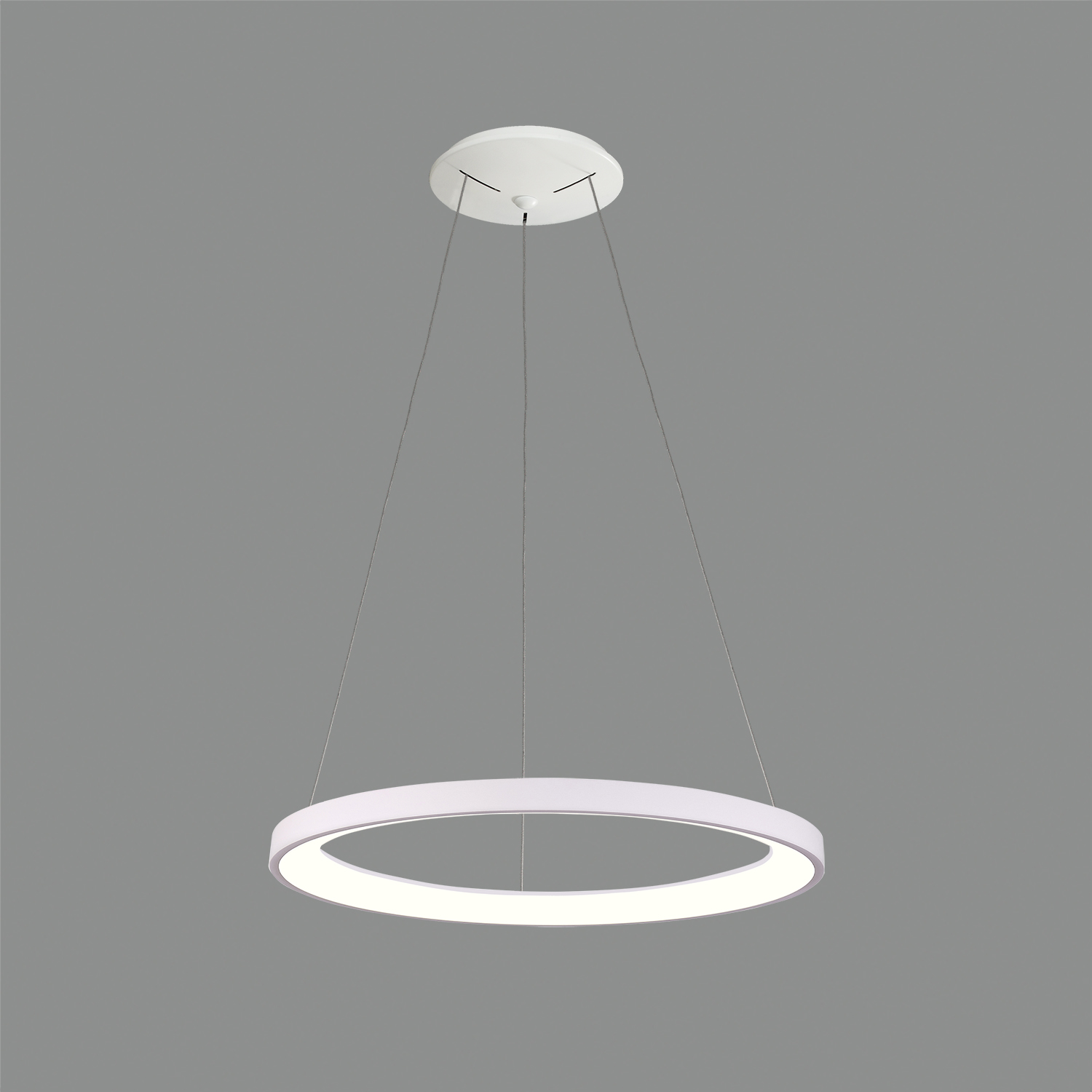 Acb GRACE suspenso - Image 2