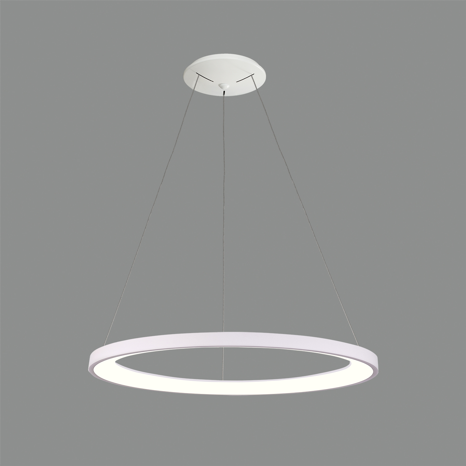 Acb GRACE suspenso - Image 5