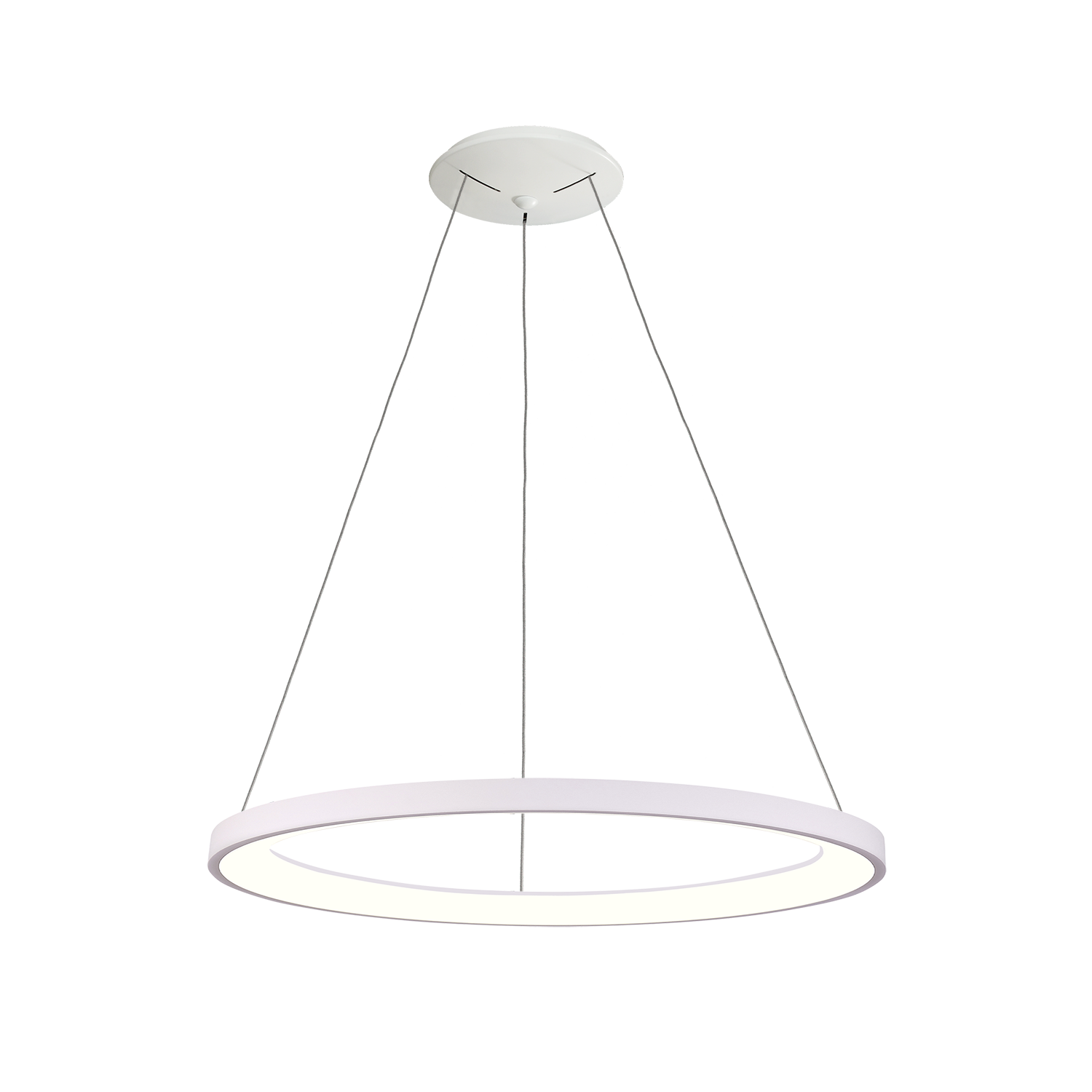 Acb GRACE suspenso - Image 4