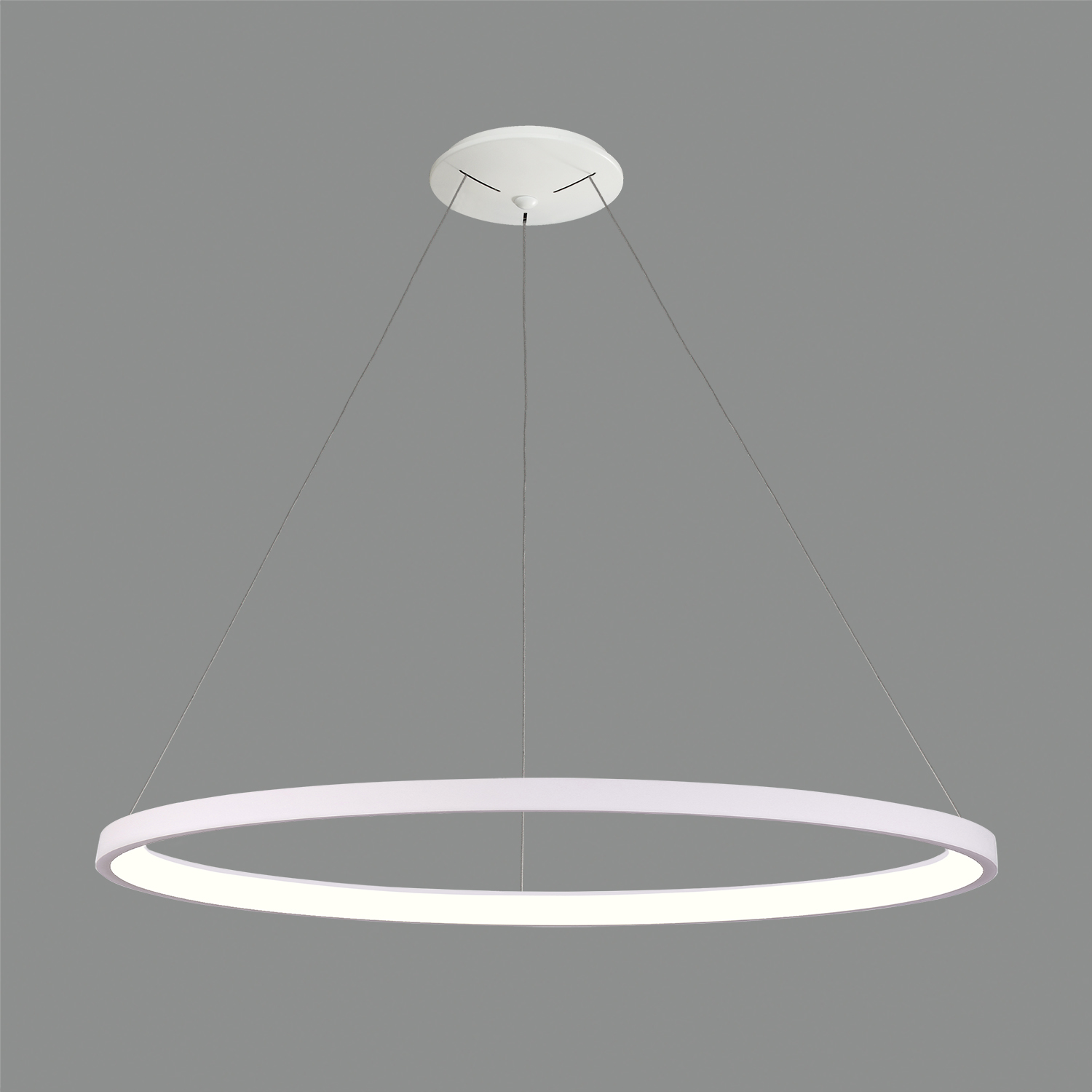 Acb GRACE suspenso - Image 7