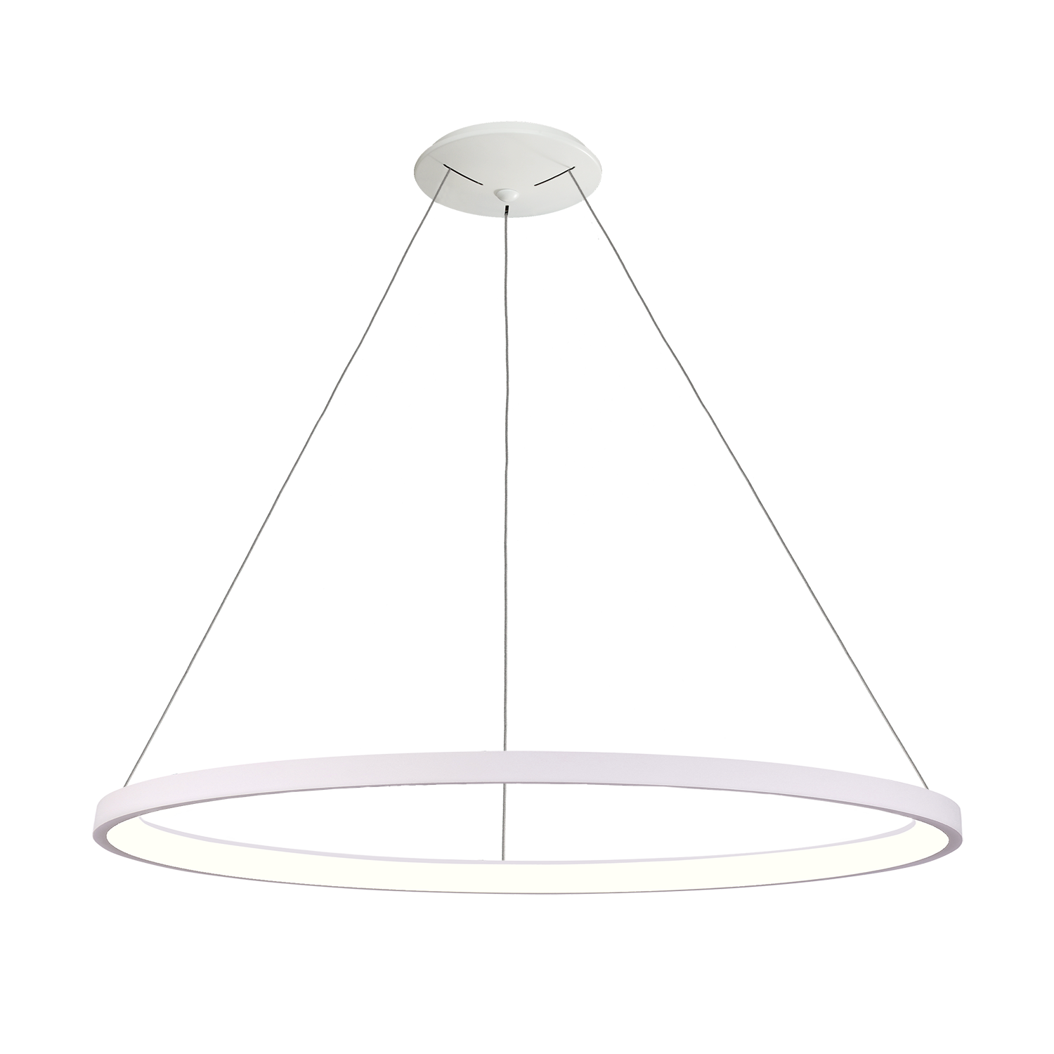 Acb GRACE suspenso - Image 8