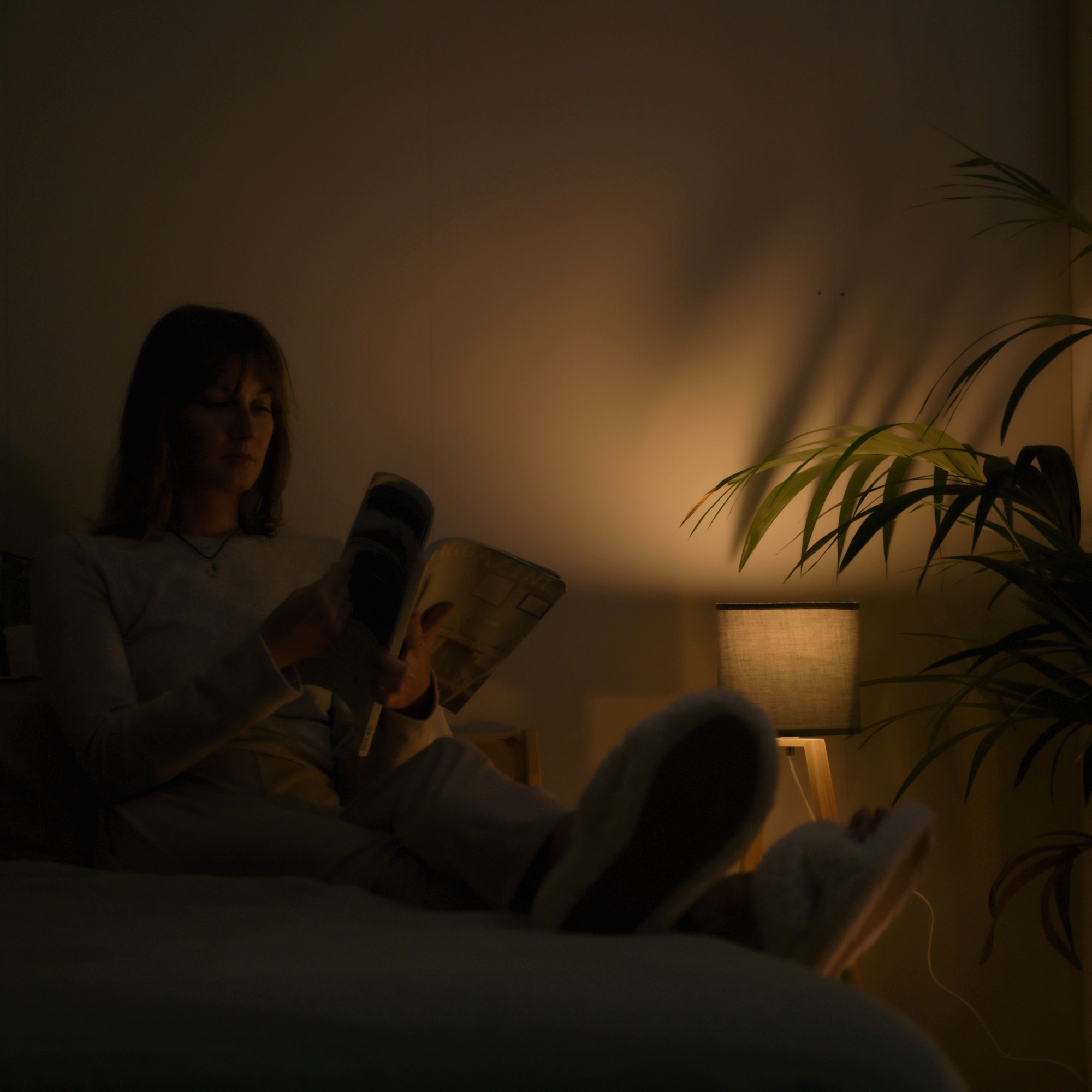 Forlight NUTS abajur cinza - Image 6