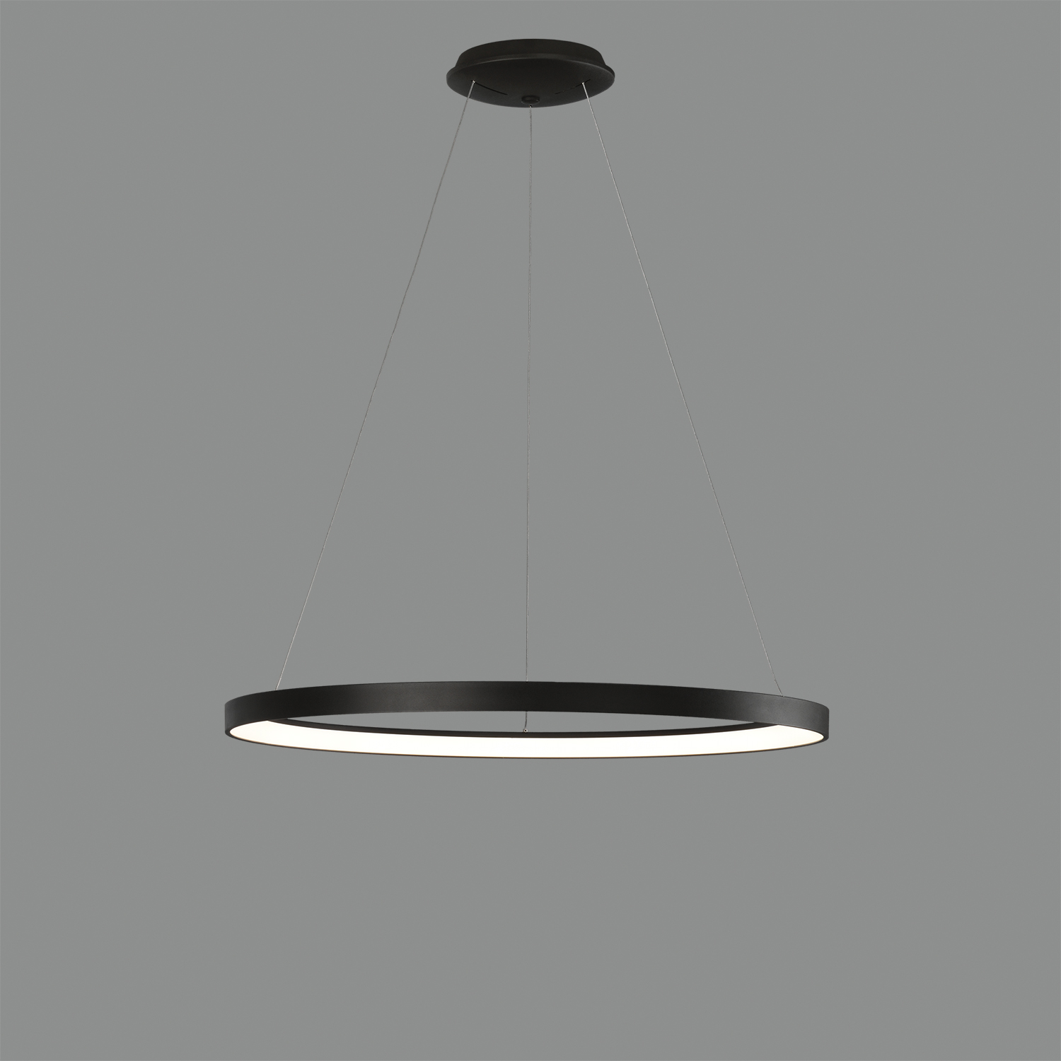 Acb GRACE suspenso - Image 12