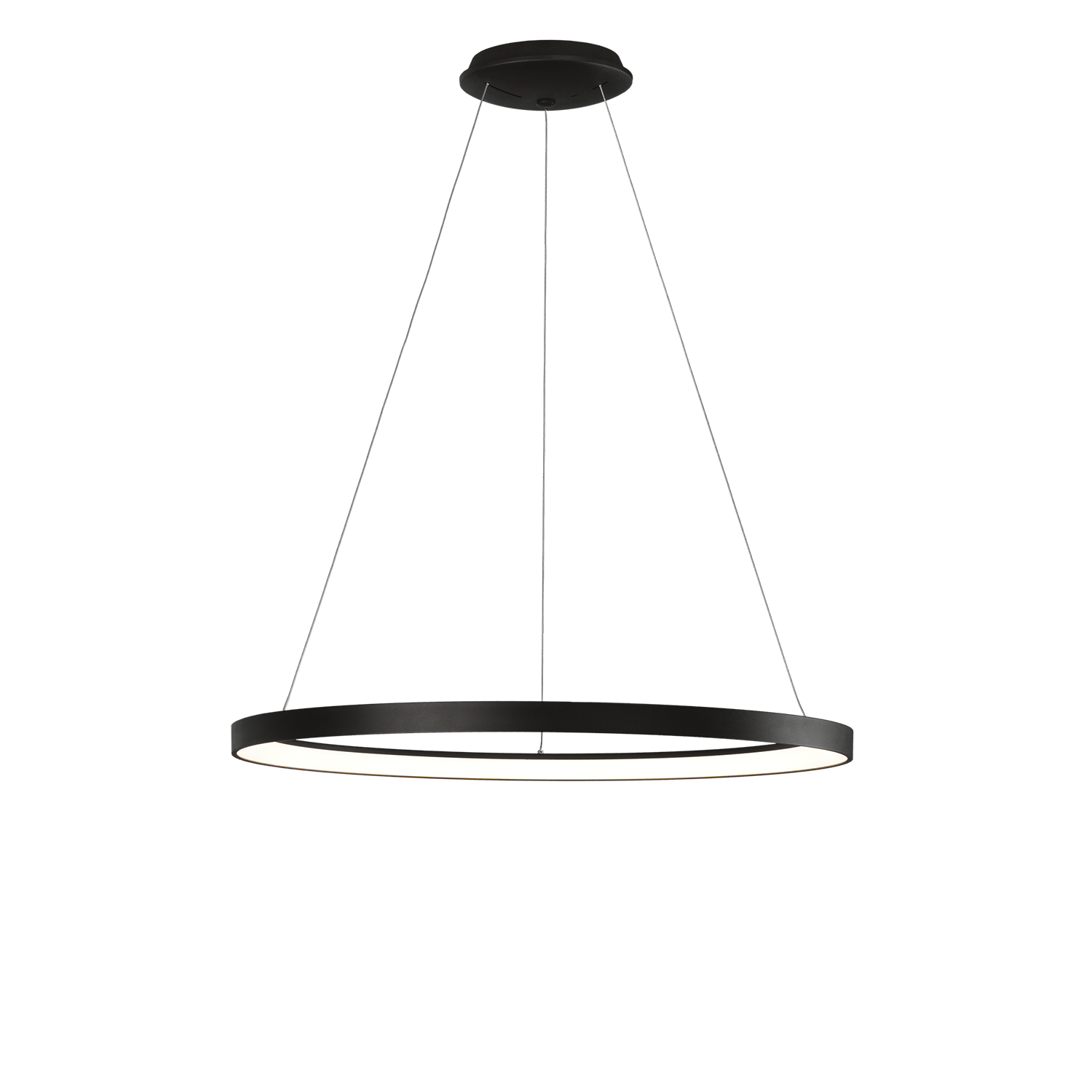 Acb GRACE suspenso - Image 11