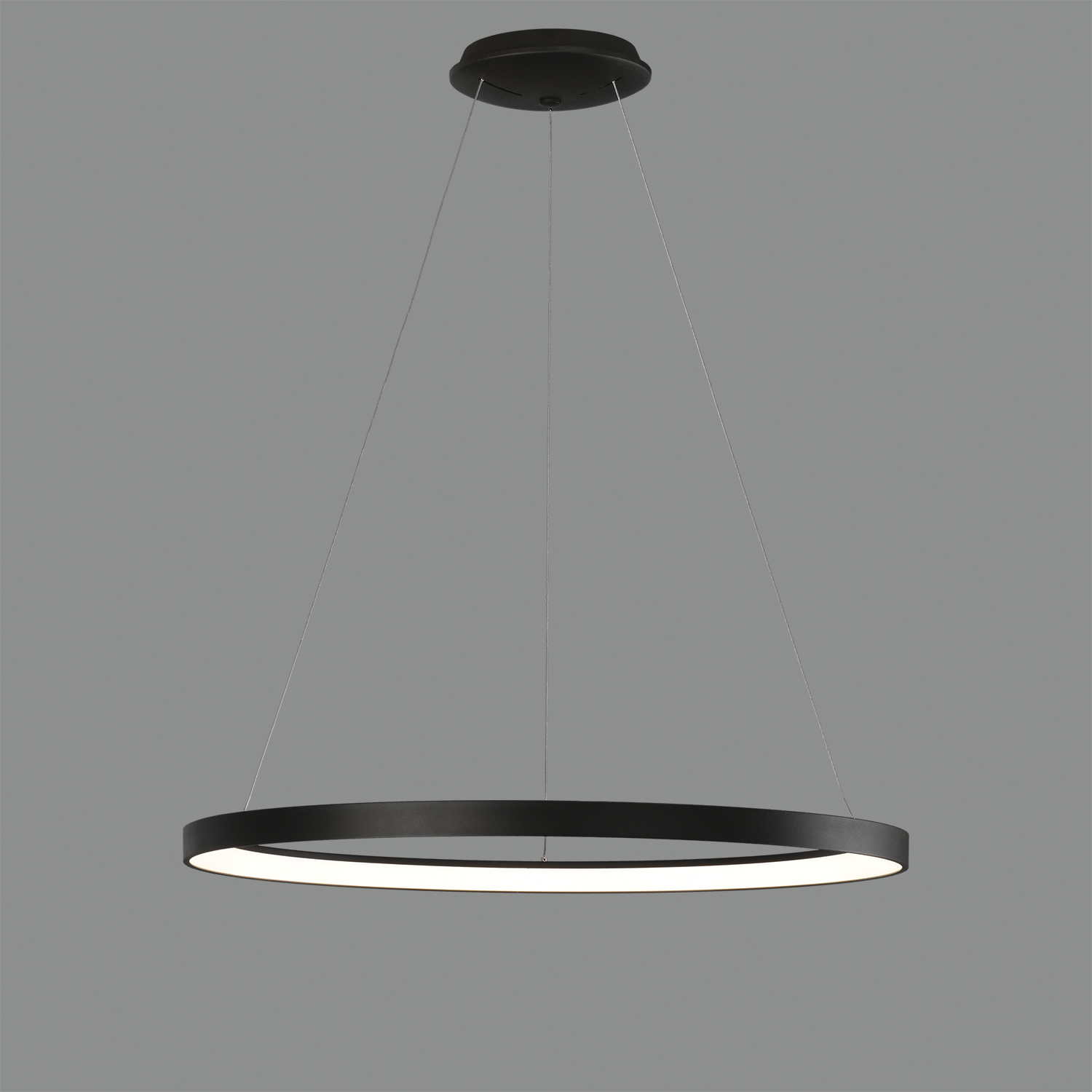 Acb GRACE suspenso - Image 15