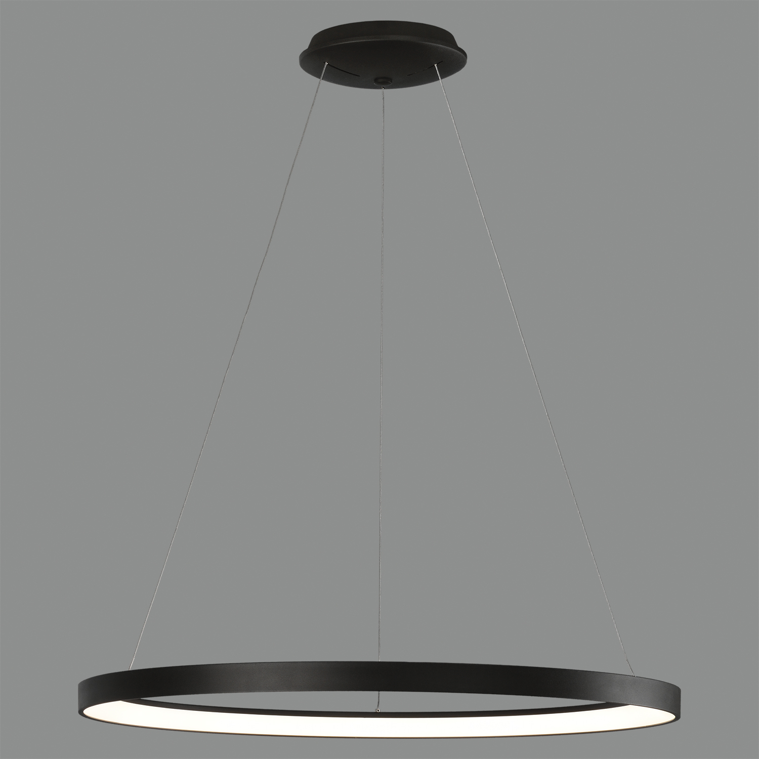 Acb GRACE suspenso - Image 18