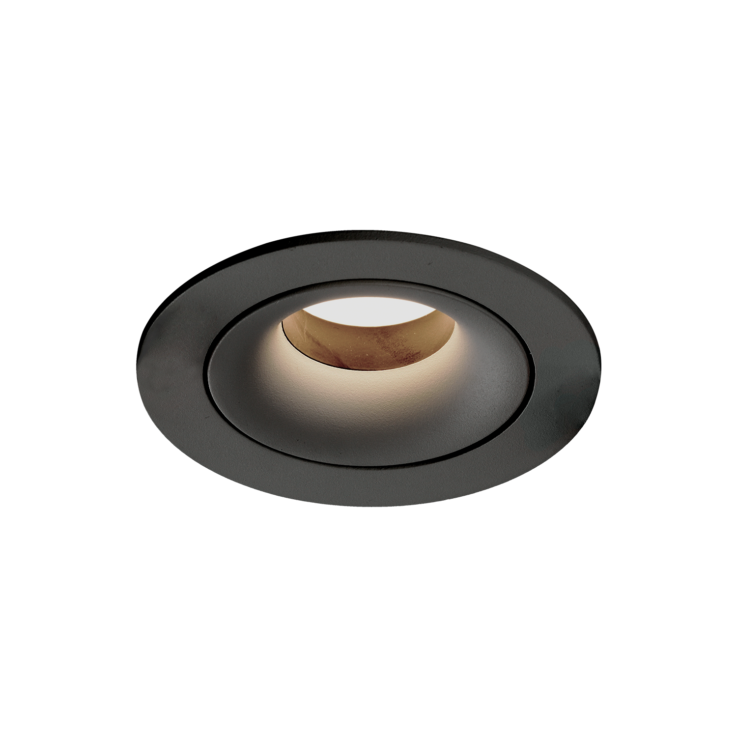 Acb MUSCA - Image 5
