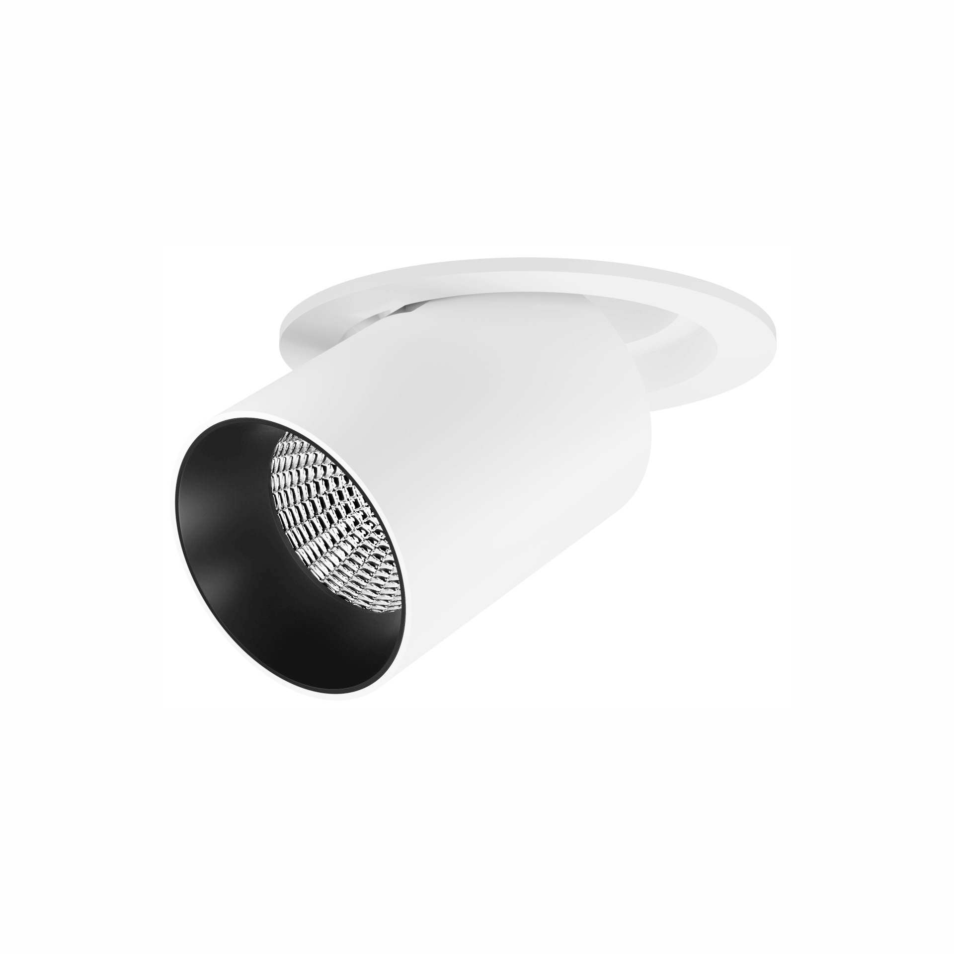 Beneito OXOr grande - Image 2
