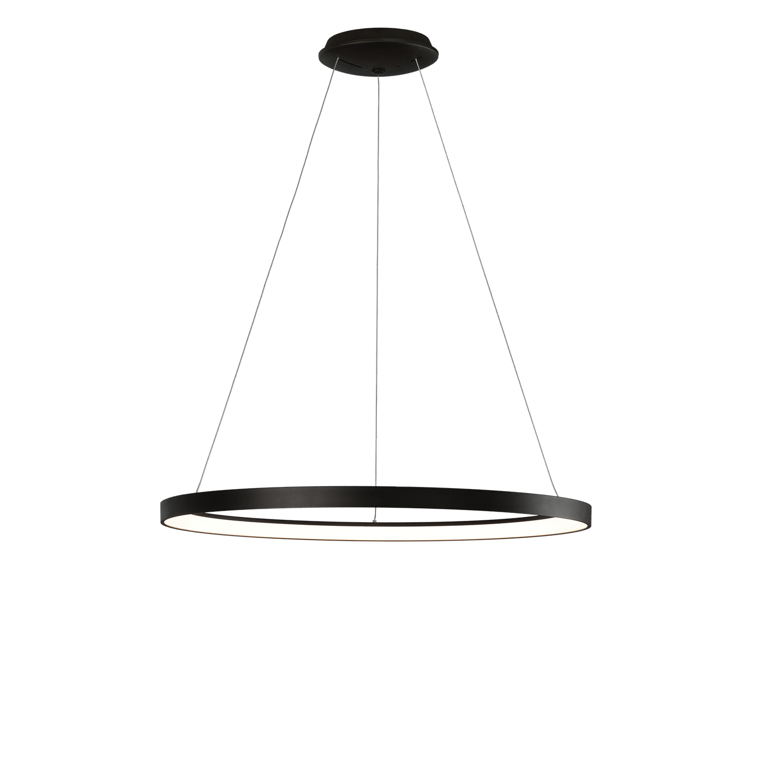 Acb GRACE suspenso - Image 11